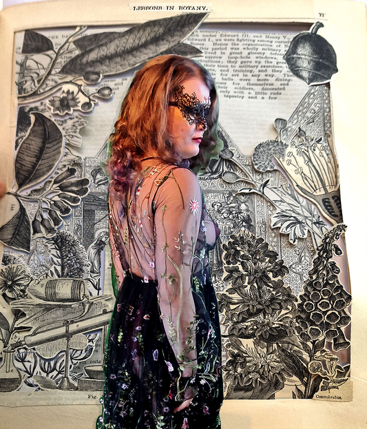 The Boann Project: Embroidered Black Tulle Robe